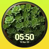 Succulent & Plants Watch Faces